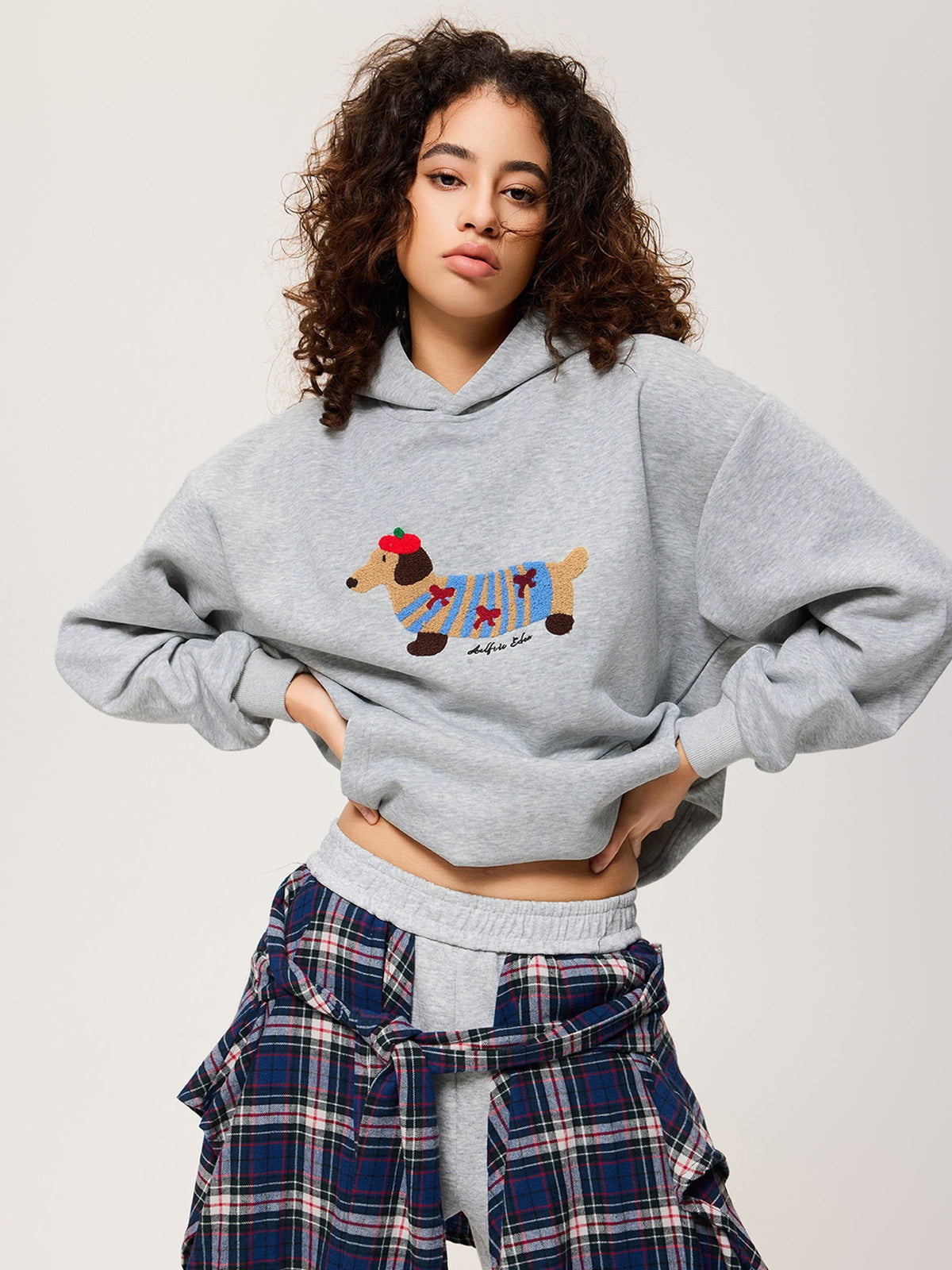 SweaterPup Embroidered Hoodie
